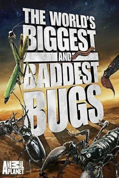 Thế Giới Côn Trùng Khổng Lồ và Nguy Hiểm (The World's Biggest and Baddest Bugs) [2009]