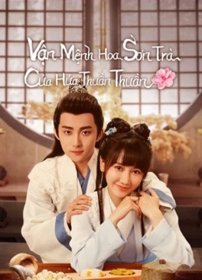 Vận Mệnh Hoa Sơn Trà Của Hứa Thuần Thuần (A Camellia Romance) [2021]